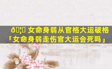 🦍 女命身弱从官格大运破格「女命身弱走伤官大运会死吗」